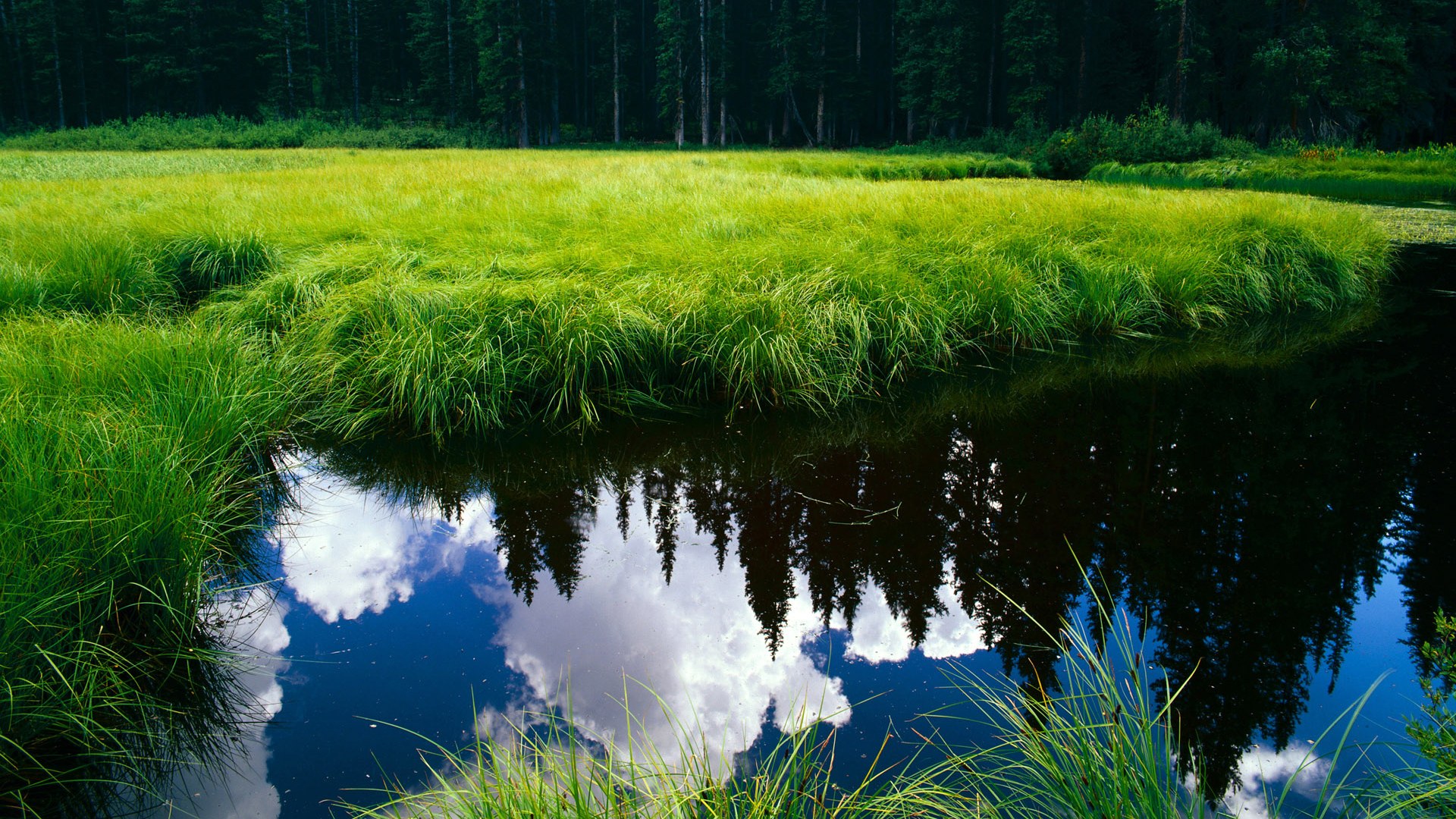 开云真人娱乐官网-【VAR全场应用】视频技术在棒球中的突破与实践，vr 棒球